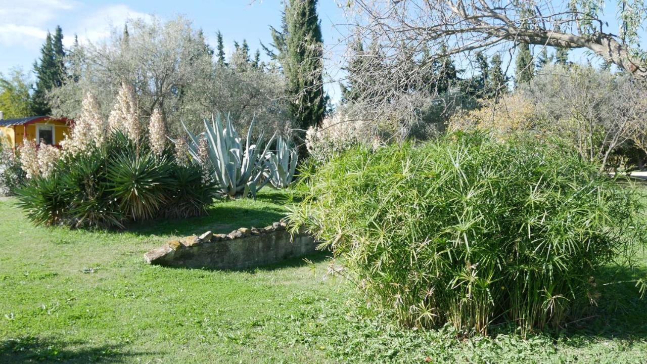 Mas Maurane-Roulotte Avec Spa Prive Aux Portes D'Arles Tarascon Dış mekan fotoğraf